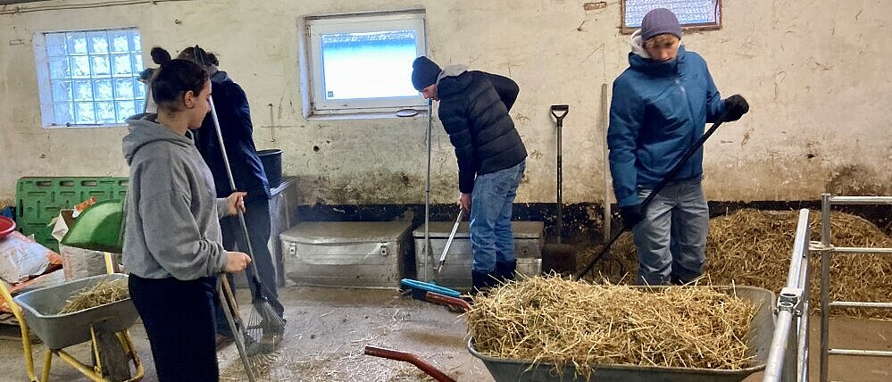 CAS in Action: Students Restore Animal Sanctuary